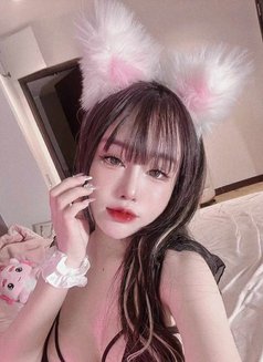 Lyly - escort in Al Ain Photo 1 of 4