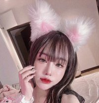 Lyly - puta in Al Ain