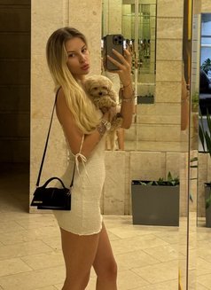 Lys - puta in Nantes Photo 1 of 8