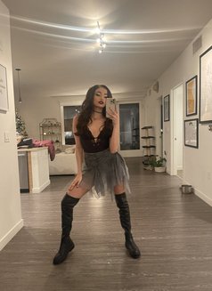 Lysa - escort in Nice Photo 1 of 4