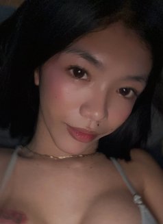 Lysa Slim - Acompañantes transexual in Manila Photo 1 of 5