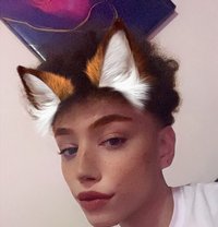 Peter - Male escort in Beirut