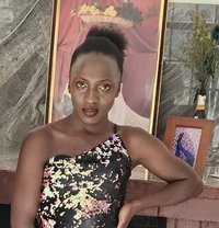 Macky - Transsexual escort in Nairobi