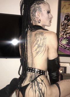 Madame D - Transsexual escort in London Photo 3 of 5