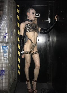 Madame D - Transsexual escort in London Photo 5 of 5