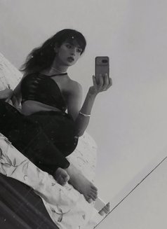 Maddie - Transsexual escort in Chandigarh Photo 23 of 23