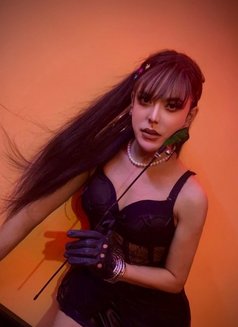 Maddy - Transsexual escort in New Delhi Photo 7 of 7