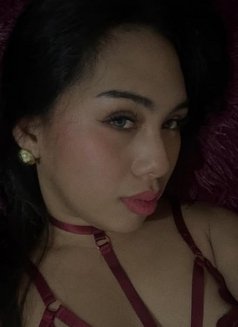 Maddy Perez - Transsexual escort in Cebu City Photo 4 of 4