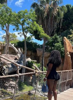 Maddy - puta in New Delhi Photo 3 of 4