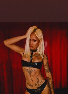 MadeleineX - Transsexual escort in Phuket Photo 25 of 25