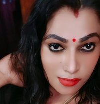 Madhavi - Acompañantes transexual in Chennai