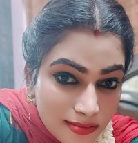 Madhavi Video Call and Real Meet - Transsexual escort in Chennai