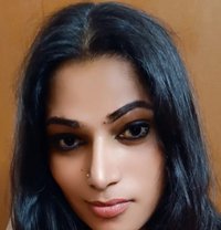 Madhavi Video Call and Real Meet - Acompañantes transexual in Chennai Photo 14 of 14