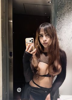 Madie ~ - Transsexual escort in New Delhi Photo 23 of 24