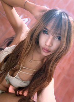 Madie ~ - Transsexual escort in New Delhi Photo 24 of 24