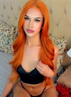 Madison Coke - Transsexual escort in Manila Photo 4 of 14