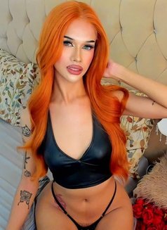 Madison Coke - Transsexual escort in Manila Photo 6 of 14