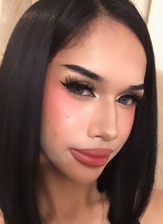 Madison Coke - Transsexual escort in Manila Photo 8 of 14