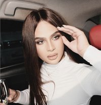 Madison in Thailand - Transsexual escort in Bangkok