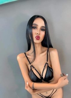 Madisson Ivy(youngest Trans in Town) - Transsexual escort in Manila Photo 12 of 15