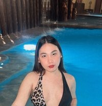 Madizon - Acompañantes transexual in Manila