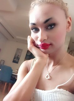 Madonna 🇱🇧 - Transsexual escort agency in Beirut Photo 14 of 16