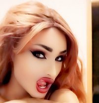 Madonna 🇱🇧 - Agencia de acompañantes transexuales in Beirut