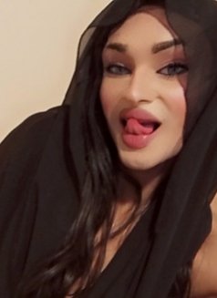 محتشمة - Agencia de acompañantes transexuales in Beirut Photo 1 of 9