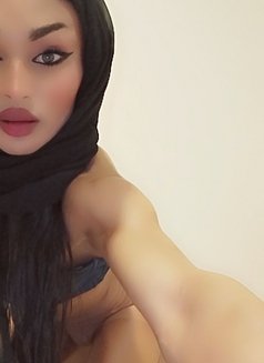 محتشمة - Agencia de acompañantes transexuales in Beirut Photo 2 of 9