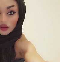 محتشمة - Agencia de acompañantes transexuales in Beirut