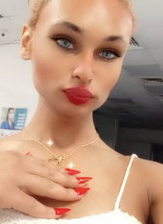 Madonna 🇱🇧 - Transsexual escort agency in Beirut Photo 1 of 16