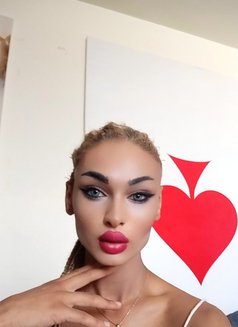 Madonna 🇱🇧 - Transsexual escort agency in Beirut Photo 3 of 16