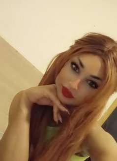 Madonna 🇱🇧 - Transsexual escort agency in Beirut Photo 8 of 16