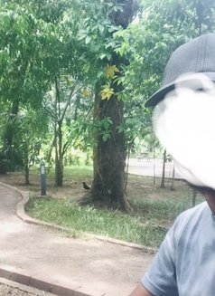 Madu Rox - Male escort in Colombo Photo 1 of 1