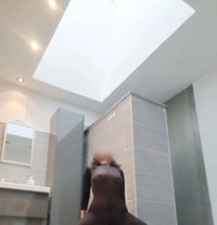 Mady - Acompañantes transexual in Dubai