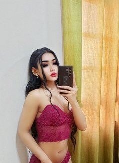 Maeya in ​Bangkok​( Both) - Transsexual escort in Bangkok Photo 2 of 6
