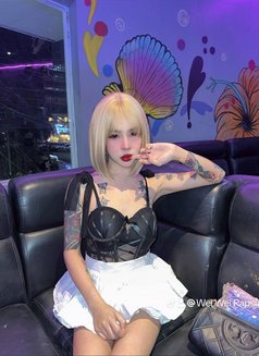Mafia Hot Sex - Acompañantes transexual in Manila Photo 3 of 4