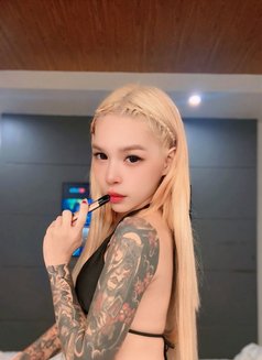 Mafia Hot Sex - Transsexual escort in Manila Photo 3 of 5