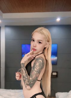 Mafia Hot Sex - Transsexual escort in Manila Photo 4 of 5