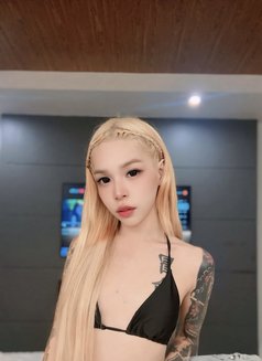 Mafia Hot Sex - Transsexual escort in Manila Photo 5 of 5