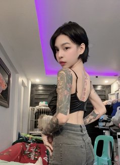 Mafia Hot Sex - Transsexual escort in Manila Photo 3 of 4