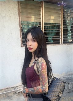 Mafia Hot Sex - Transsexual escort in Manila Photo 3 of 4