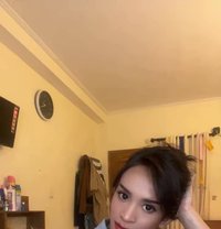 Magdalena Ladyboy - Transsexual escort in Bali