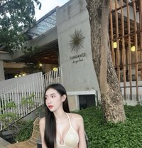 Magic Thailand - Acompañantes transexual in Phuket