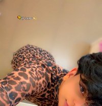 Magody مجودى - Male escort in Al Sohar