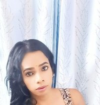 Mahalaxmi - Acompañantes transexual in Chennai