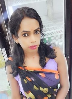 Mahalaxmi - Transsexual escort in Chennai Photo 3 of 4