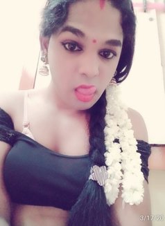 Mahalaxmi - Transsexual escort in Chennai Photo 3 of 6