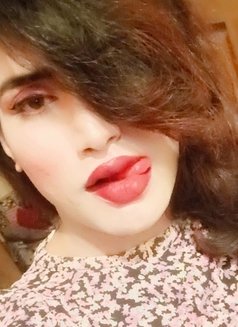 Maham Doll - Transsexual escort in Islamabad Photo 1 of 6