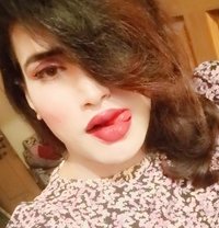 Maham Doll - Transsexual escort in Islamabad